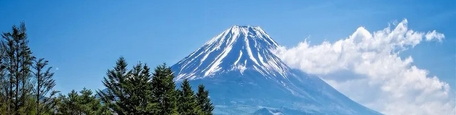 ＳＳ　ＴＲＡＤＩＮＧ　